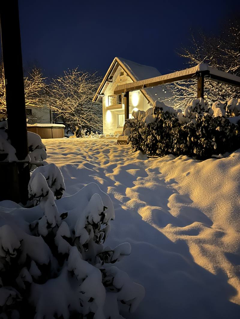 The house on a snowy winter night